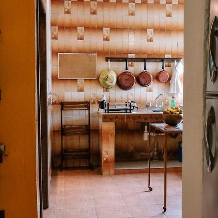 Sunshine House - Made By Artists Villa Oaxaca Ngoại thất bức ảnh