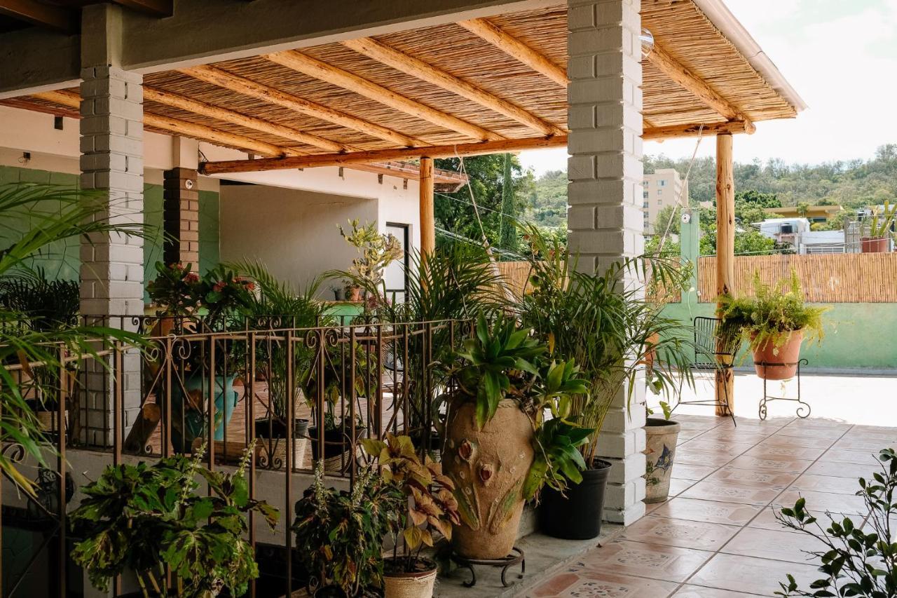 Sunshine House - Made By Artists Villa Oaxaca Ngoại thất bức ảnh