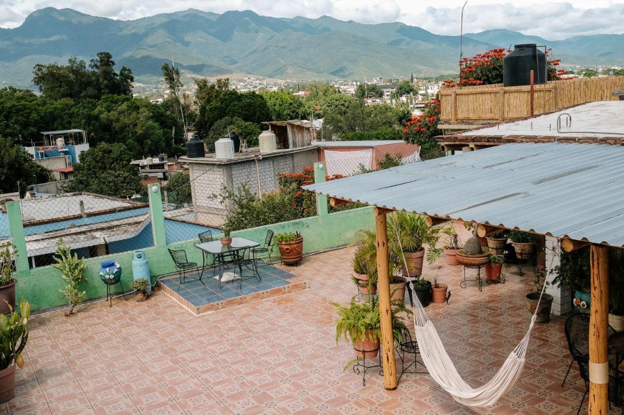 Sunshine House - Made By Artists Villa Oaxaca Ngoại thất bức ảnh